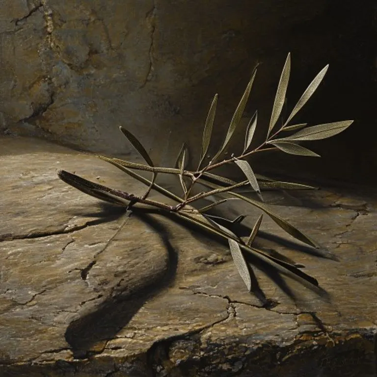 Rama de olivo marchita sobre piedra antigua, evocando la agonía en Getsemaní.