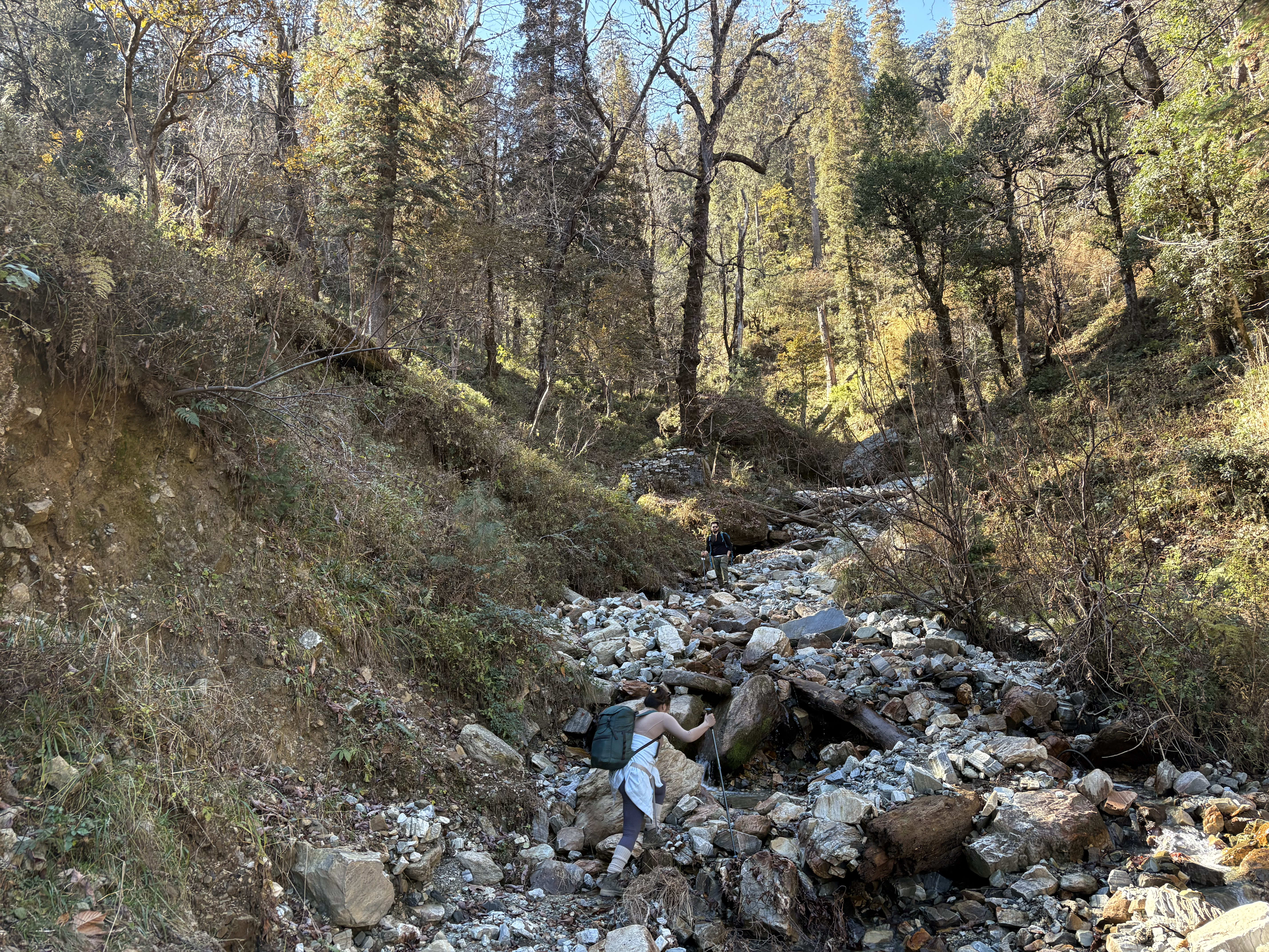 A boulder-strewn mountain stream in the forest