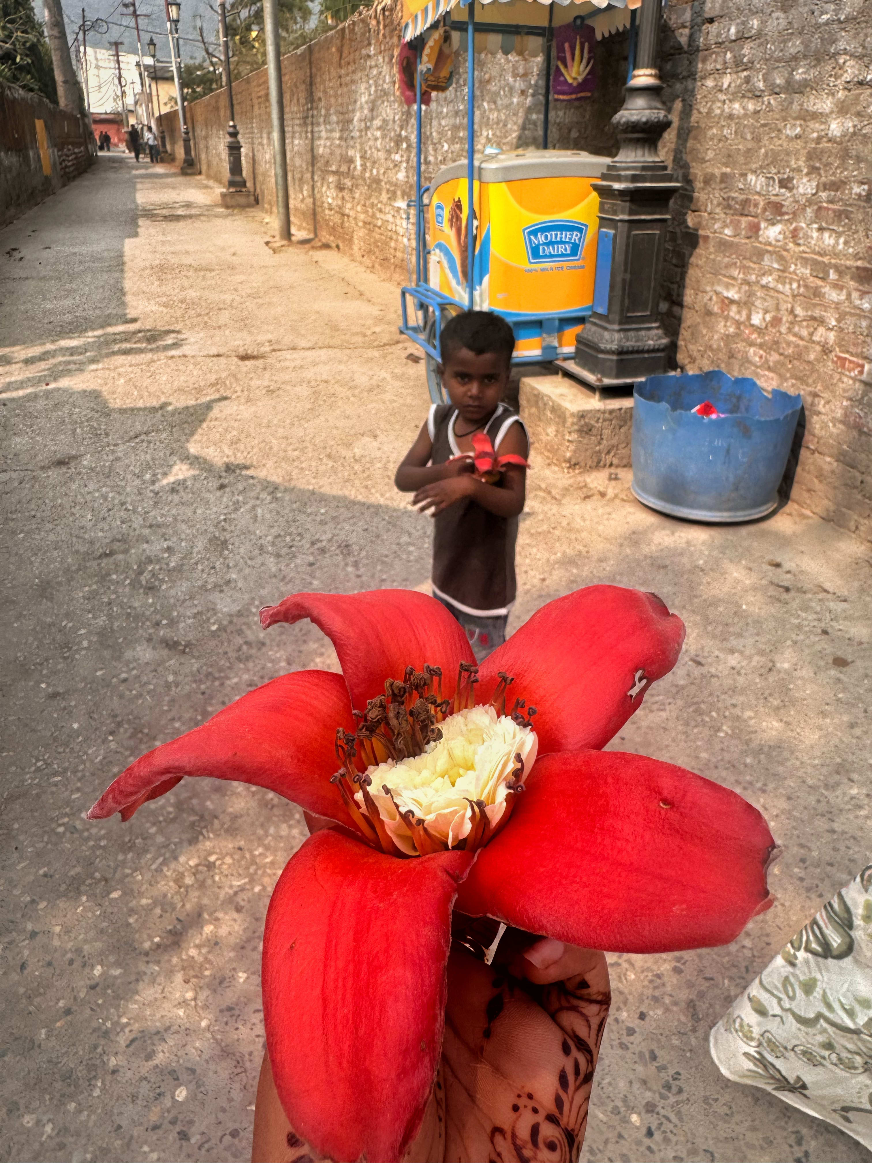 A village child by a water tank, with a fallen silk-cotton flower