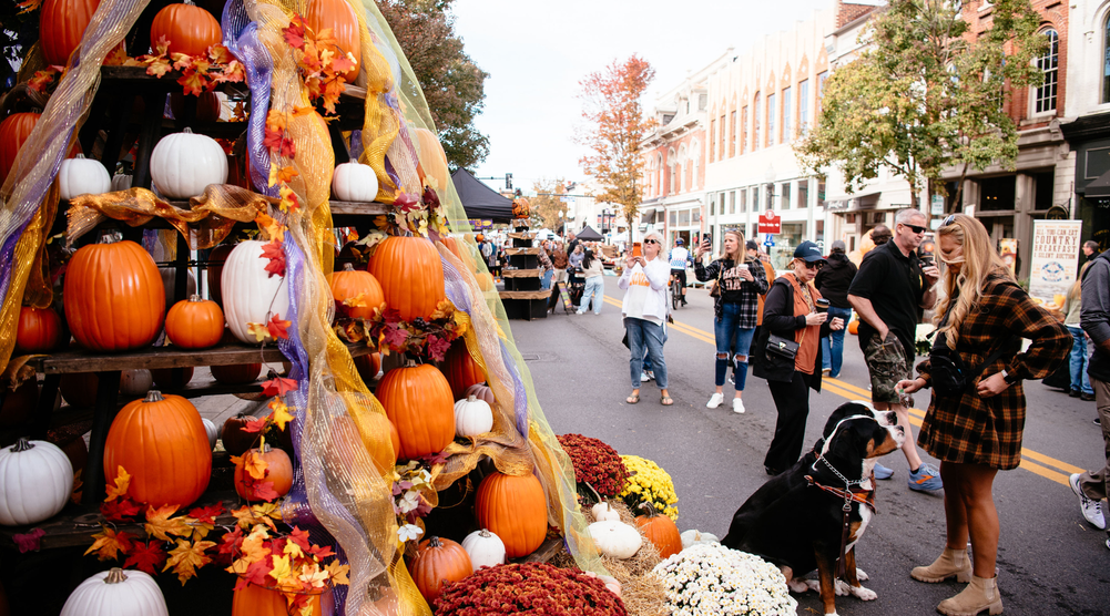 Pumpkinfest Street View