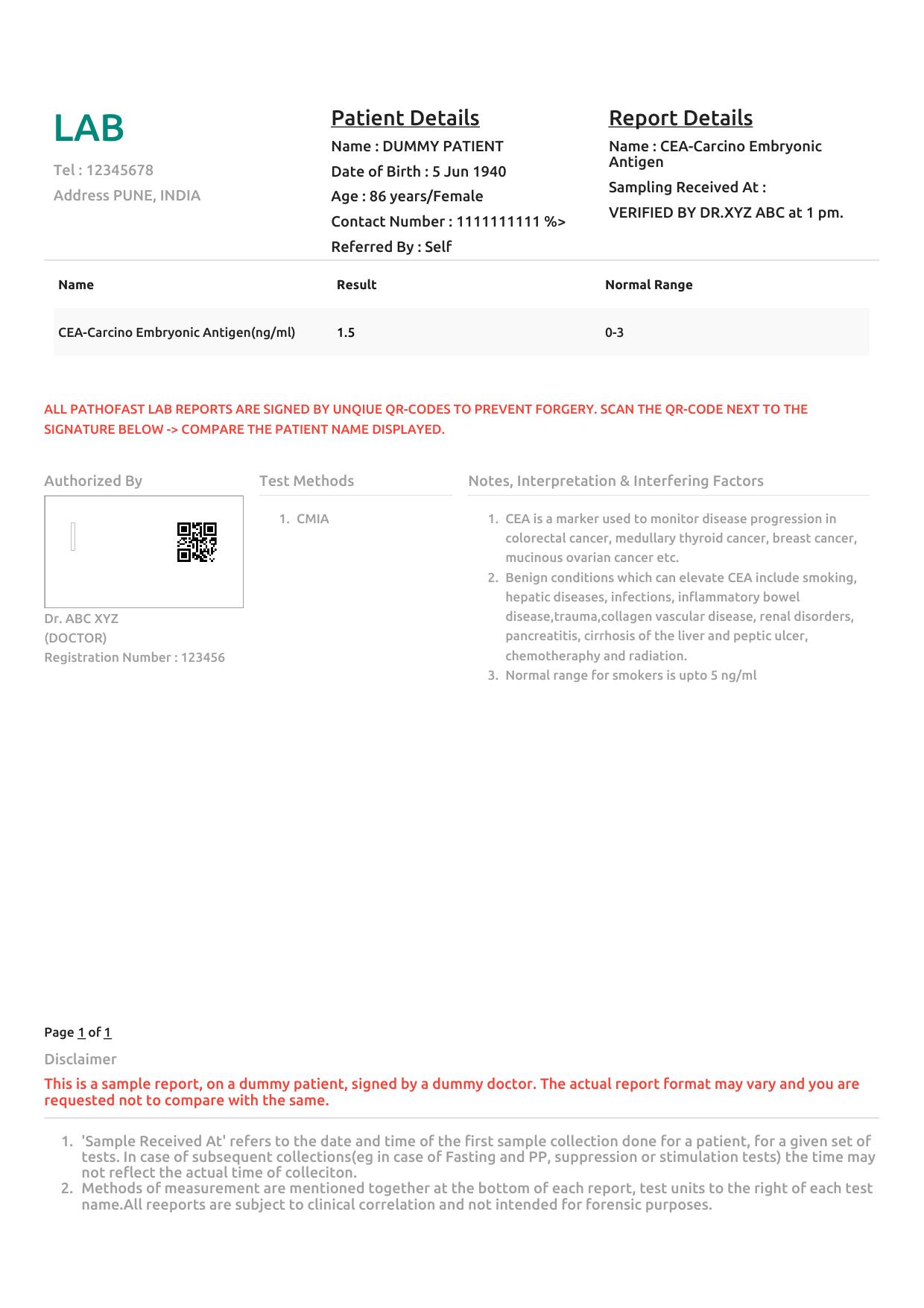 Sample CEA report format