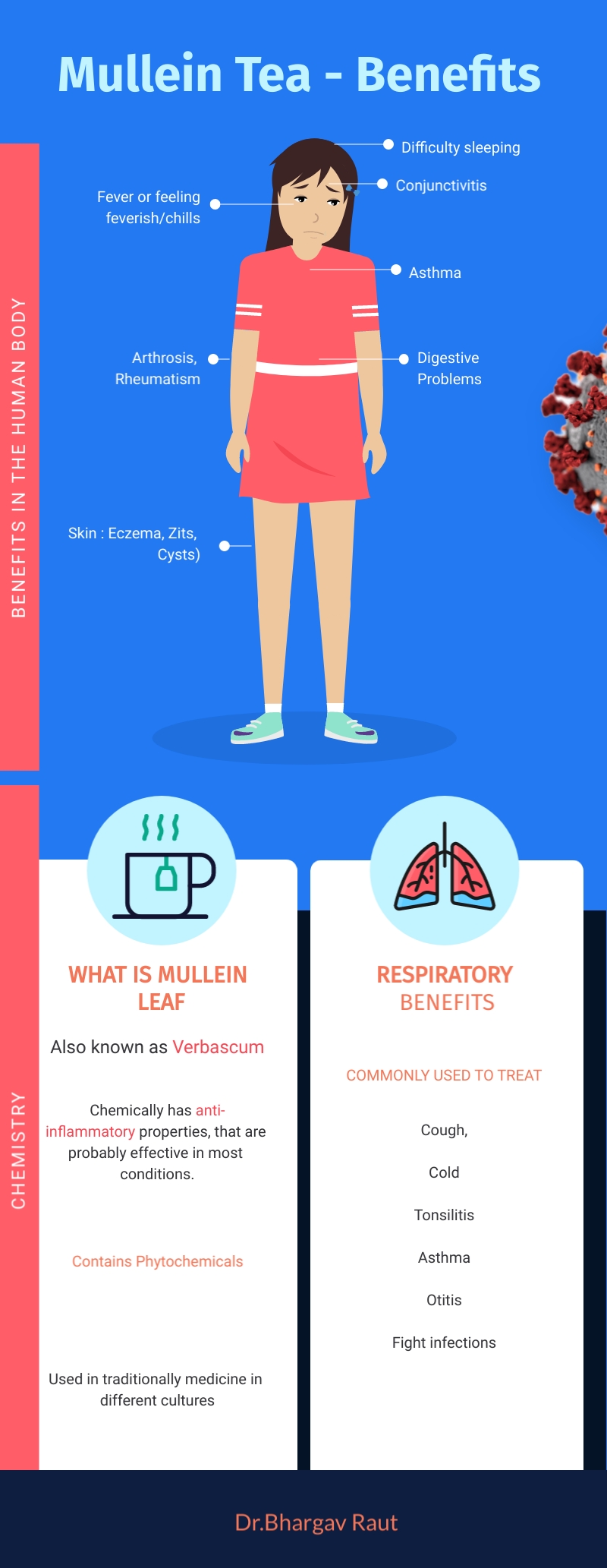 Mullein Tea Benefits - Infographic