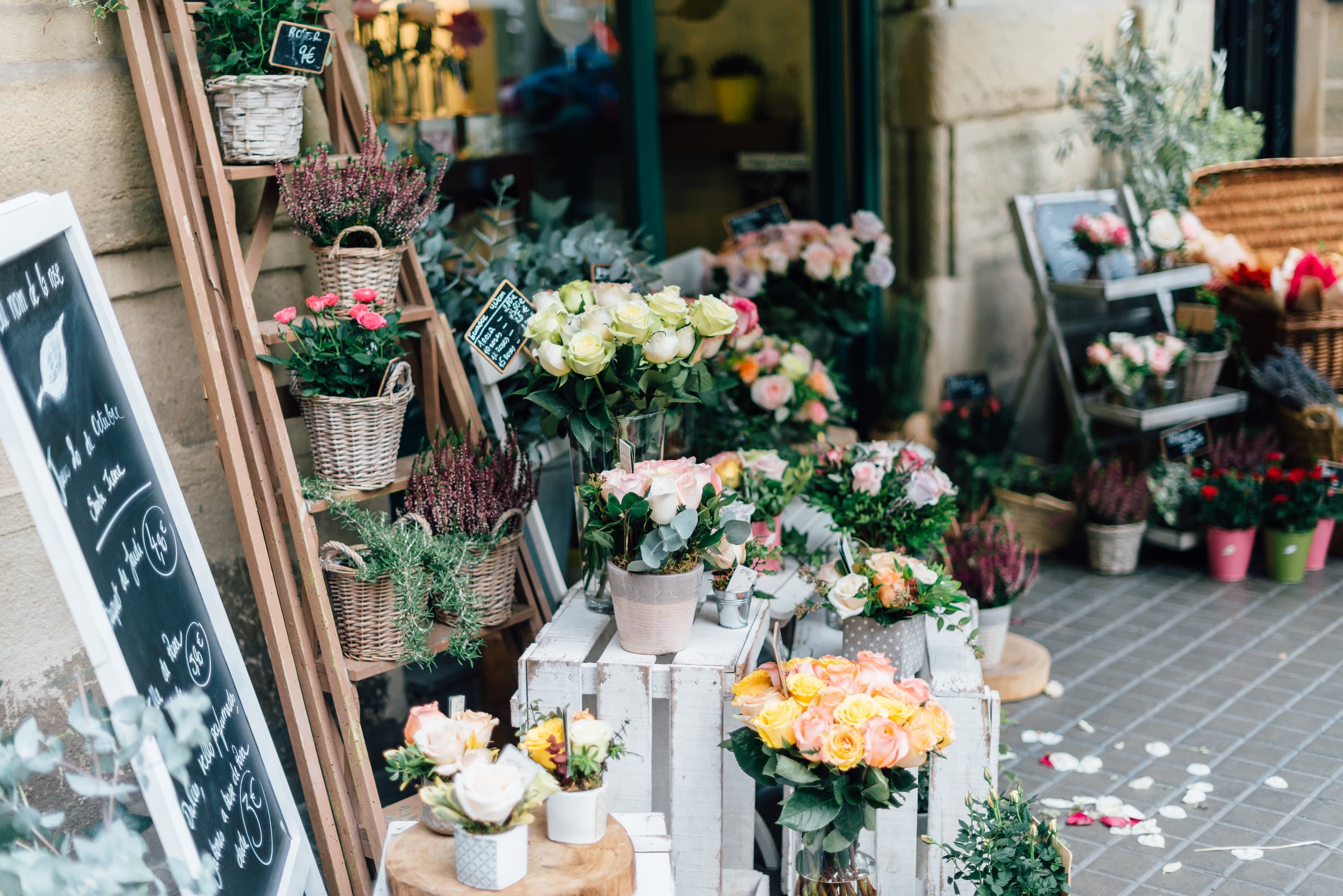 A floew shop with roses