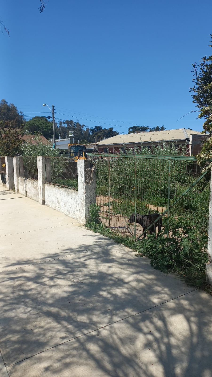 Imagen n°4 de la propiedad VENTA TERRENO