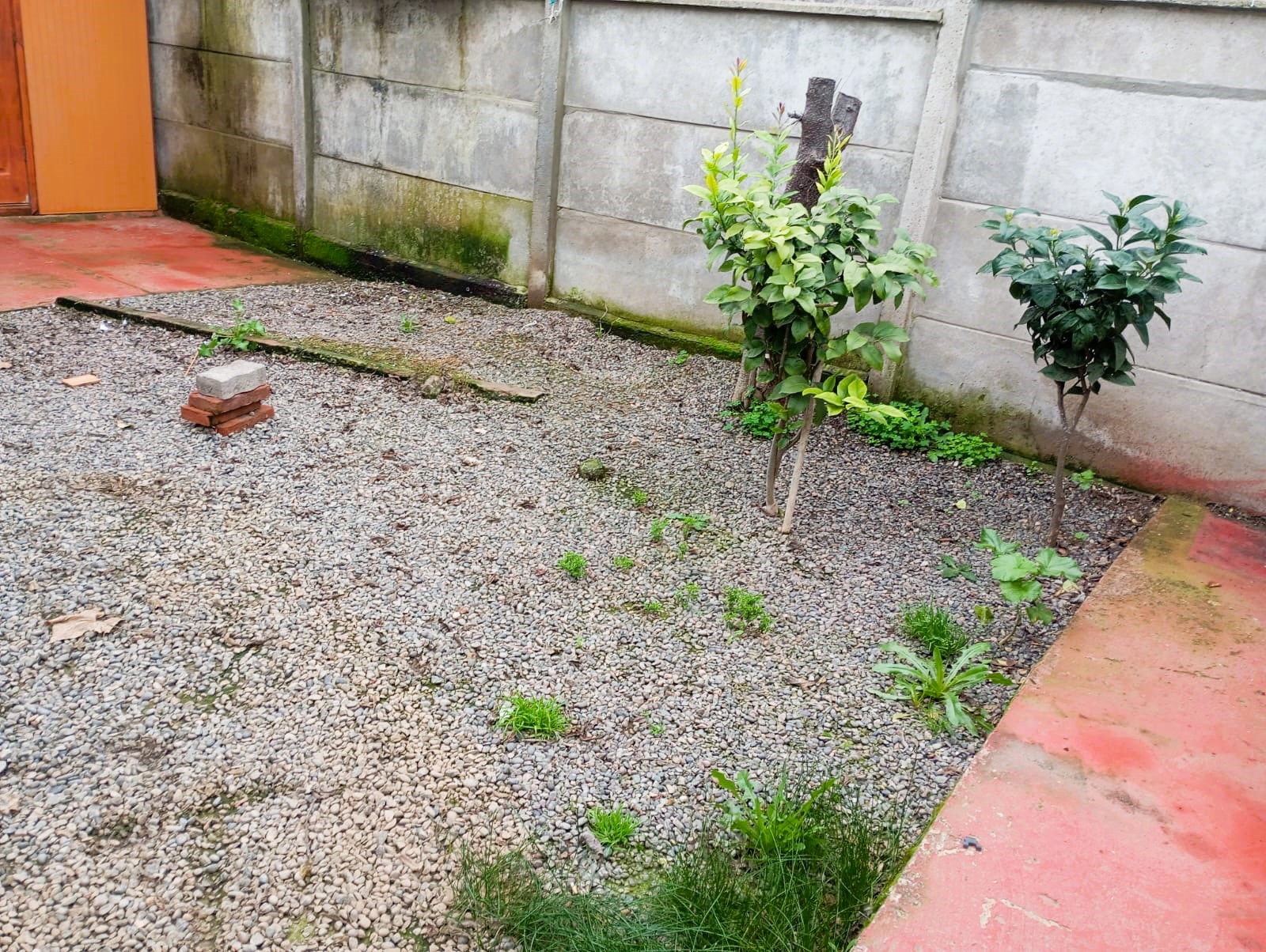 Imagen n°8 de la propiedad CASA