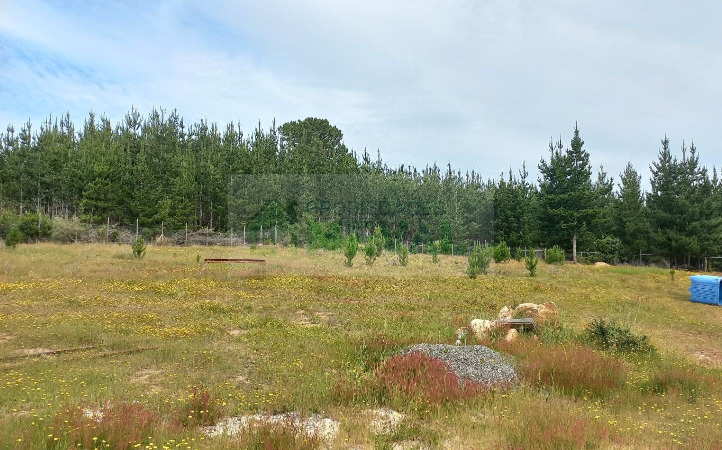 Imagen n°0 de la propiedad PARCELA