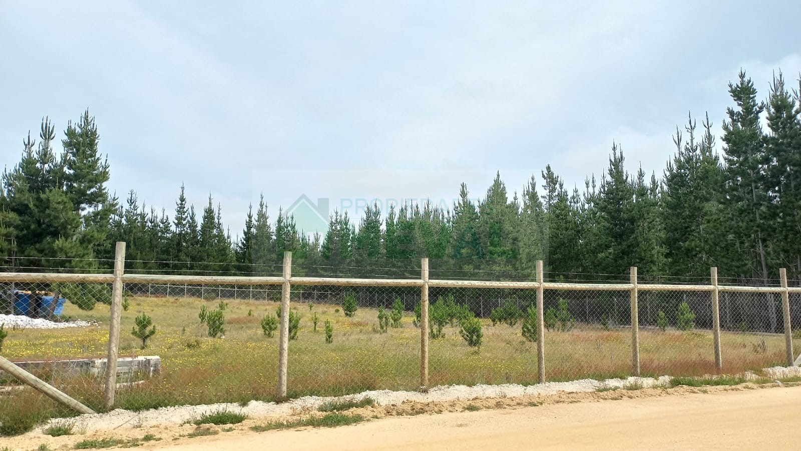 Imagen n°3 de la propiedad PARCELA