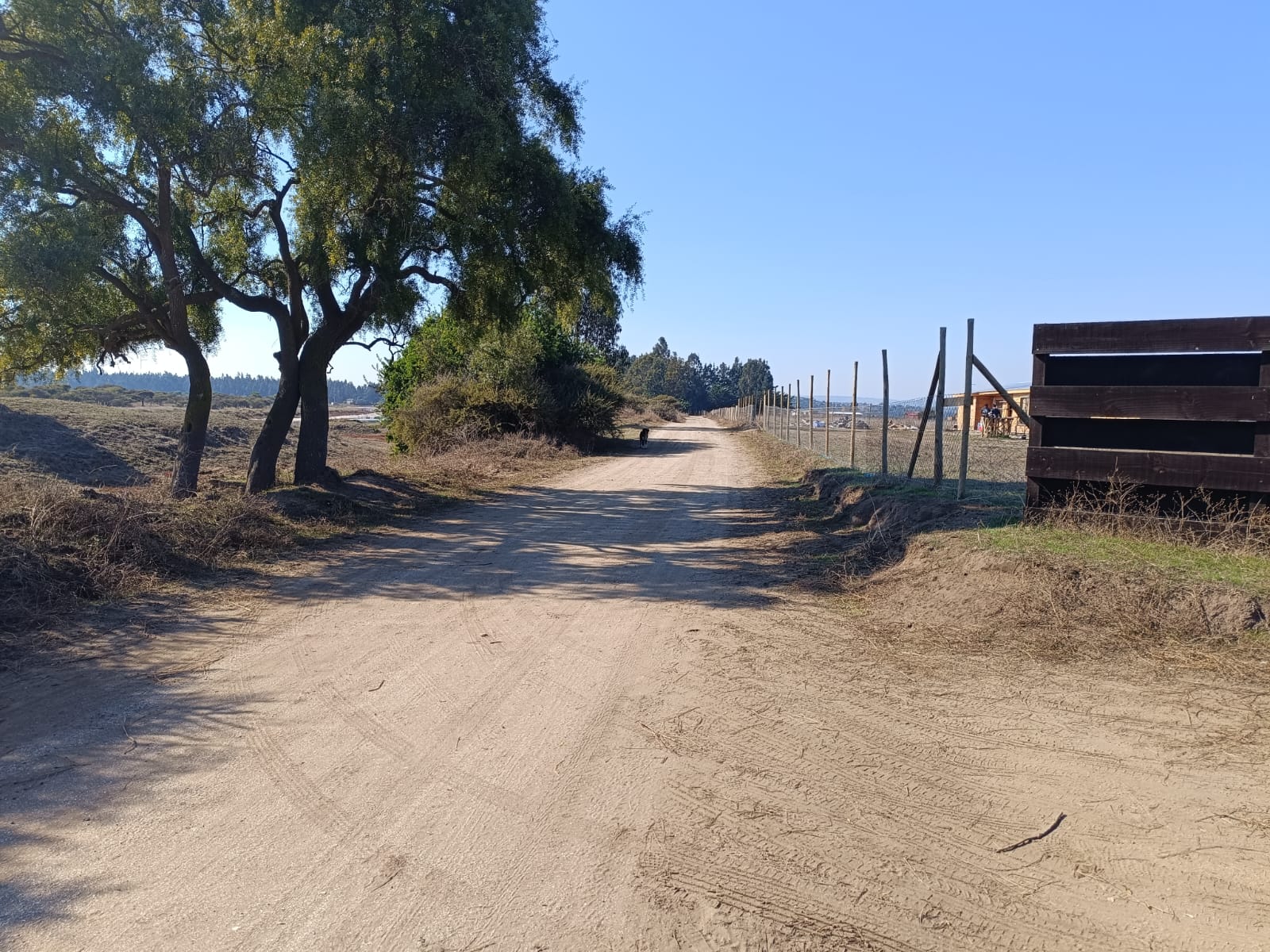 Imagen n°4 de la propiedad PARCELA