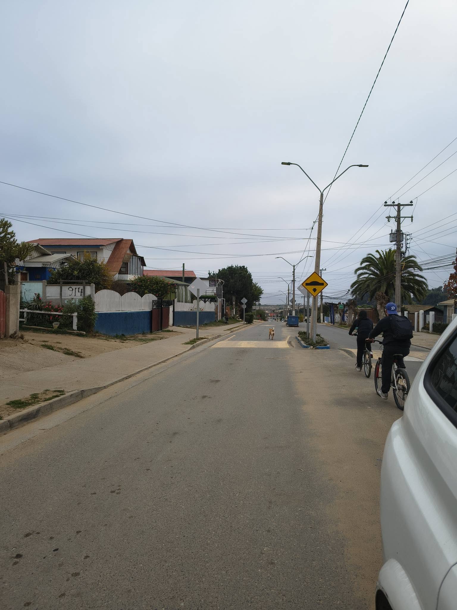 Imagen n°4 de la propiedad TERRENO