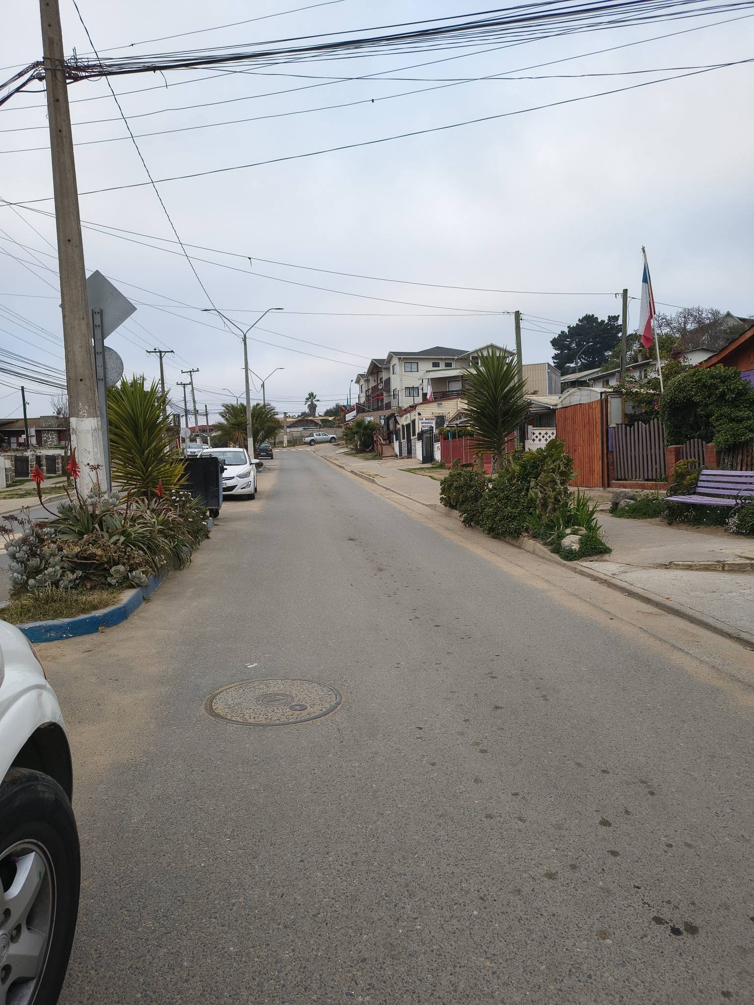 Imagen n°5 de la propiedad TERRENO