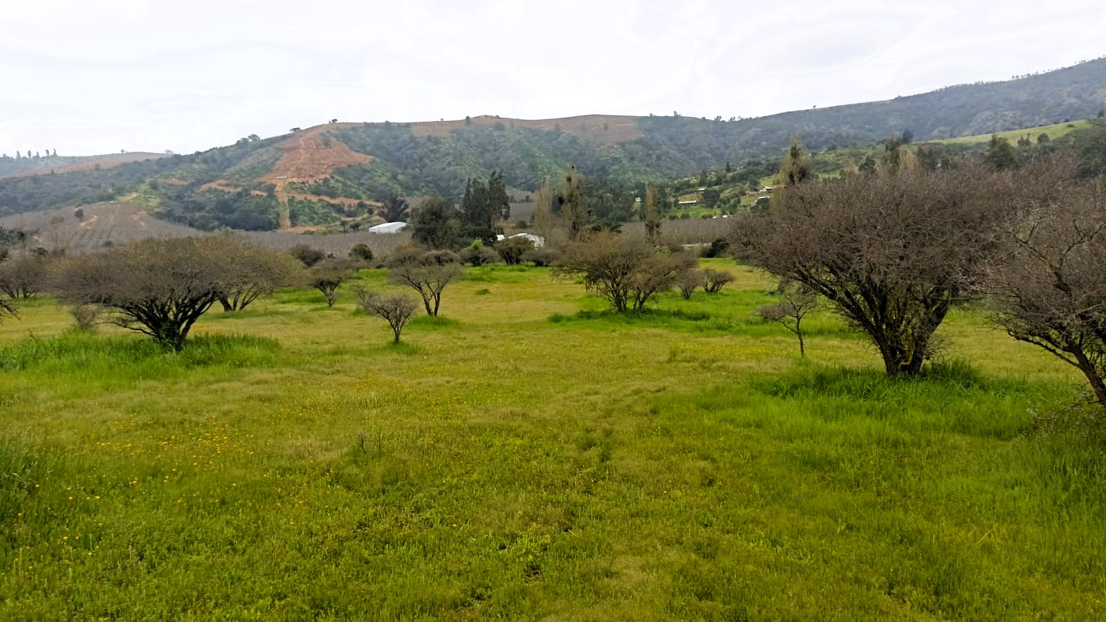 Imagen n°0 de la propiedad Se vende terreno