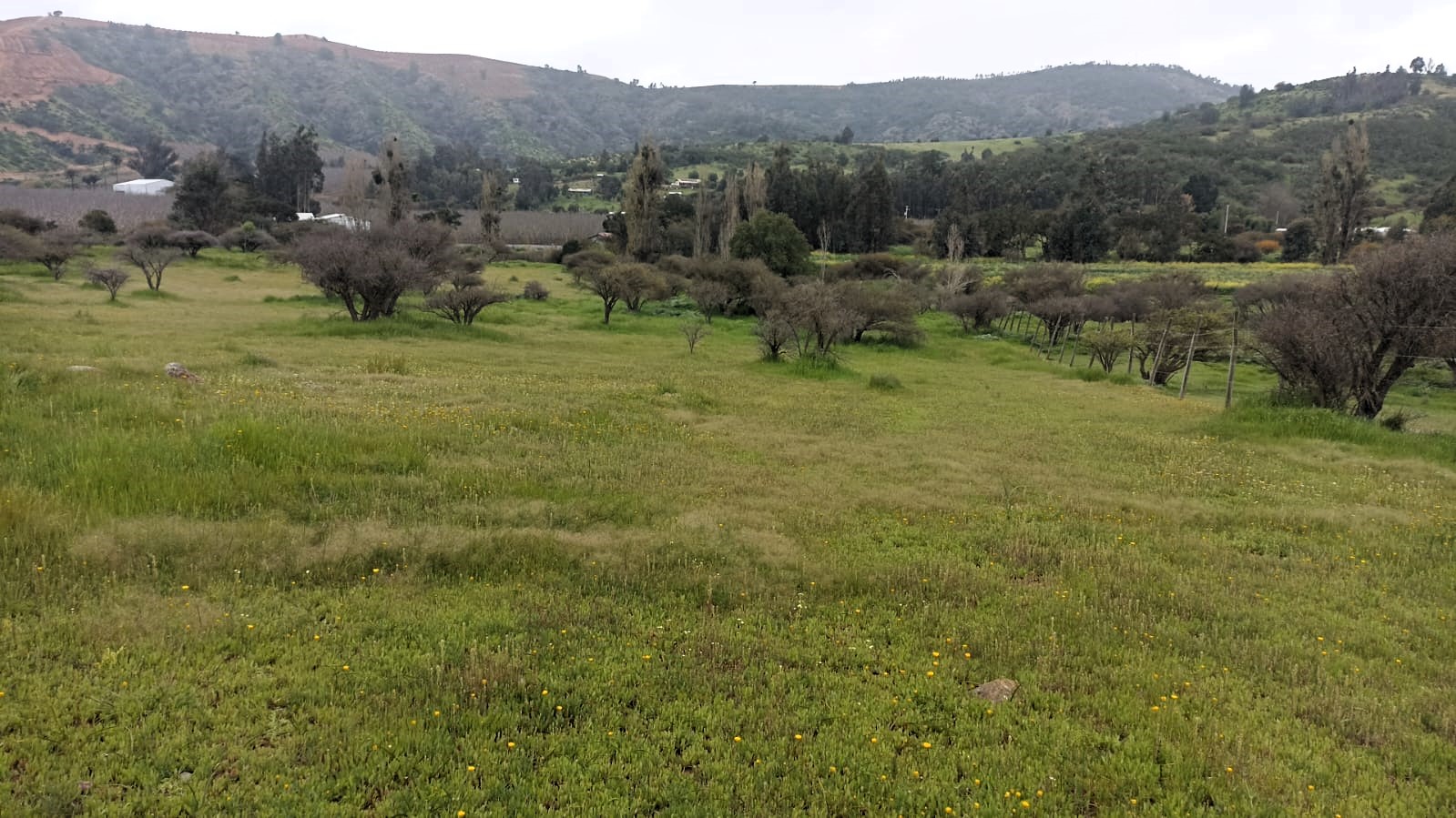 Imagen n°1 de la propiedad Se vende terreno