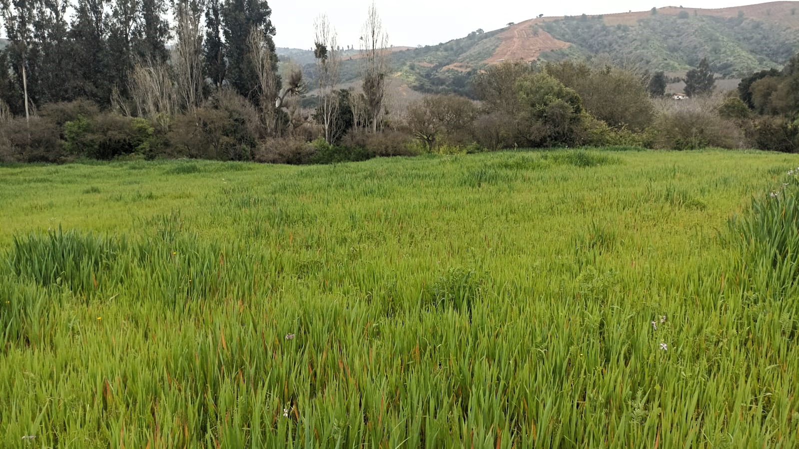 Imagen n°4 de la propiedad Se vende terreno
