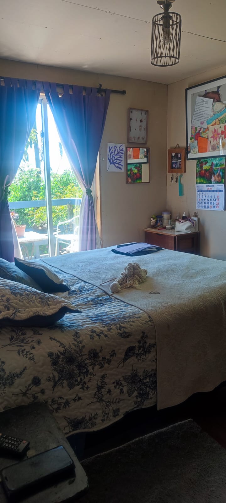Imagen n°4 de la propiedad SE VENDE 2 CASAS
