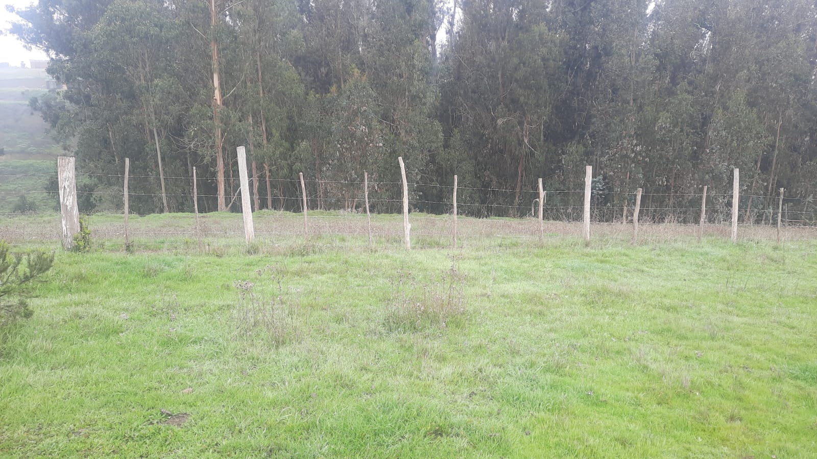 Imagen n°0 de la propiedad TERRENO 2,5 HECTAREAS