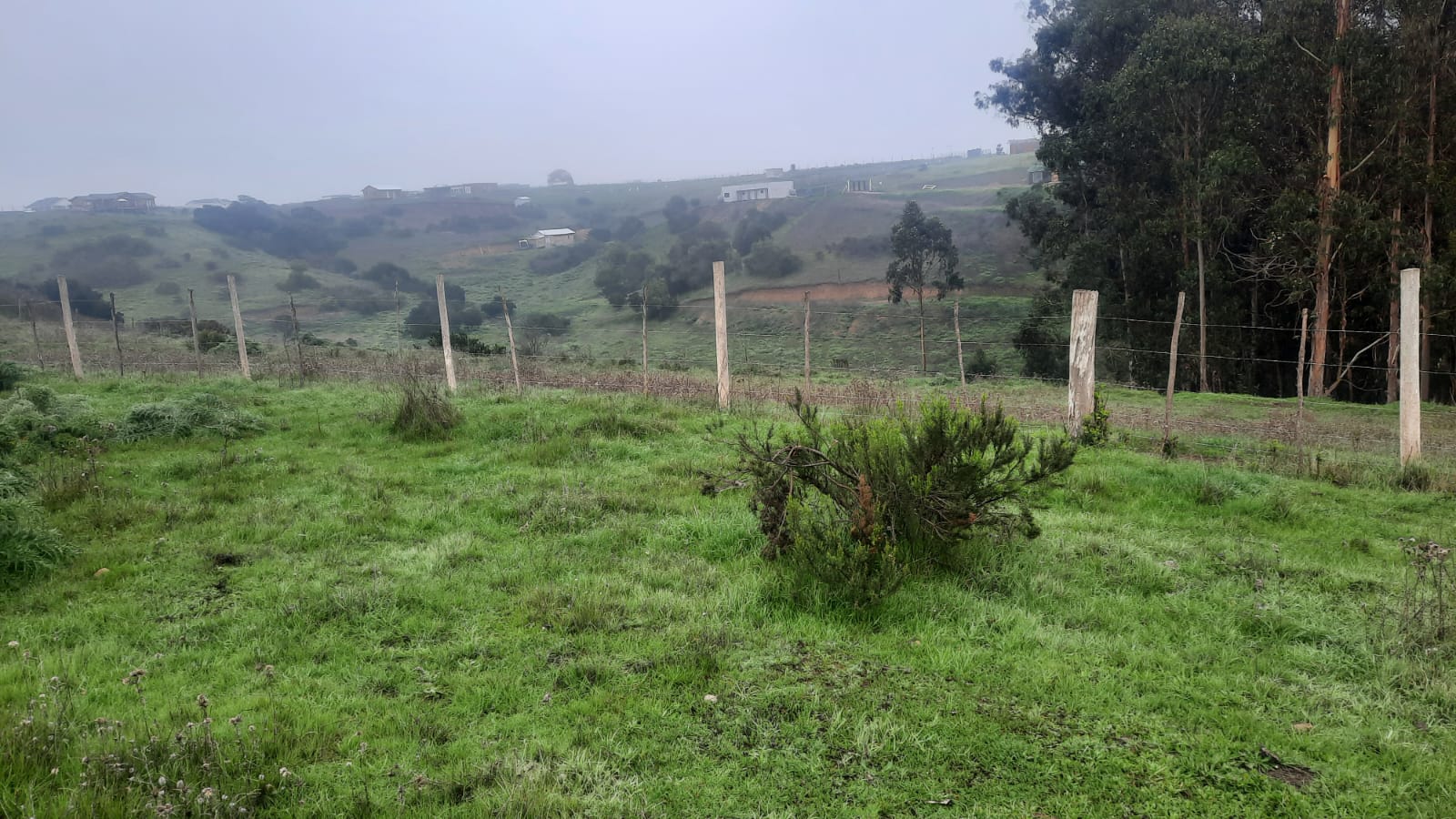 Imagen n°1 de la propiedad TERRENO 2,5 HECTAREAS