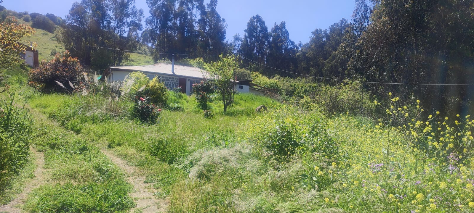 Imagen n°3 de la propiedad se vende terreno