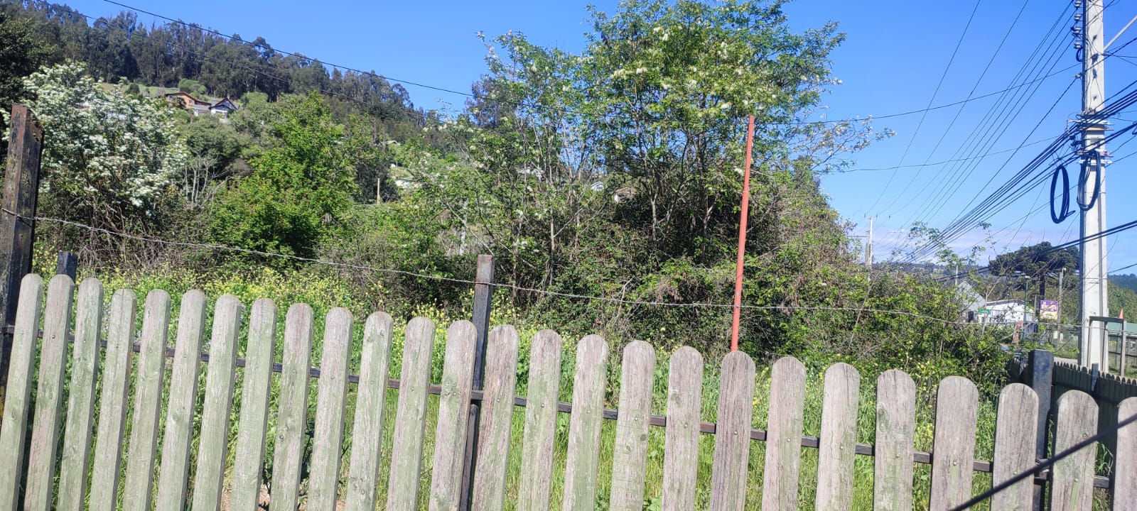Imagen n°5 de la propiedad se vende terreno