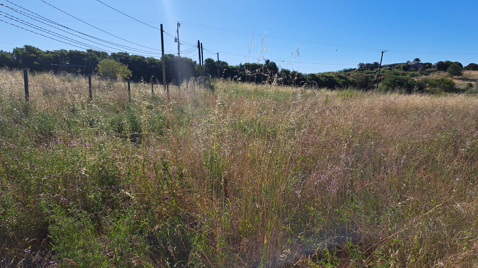 Imagen n°1 de la propiedad PARCELA EN VENTA - EL CONVENTO
