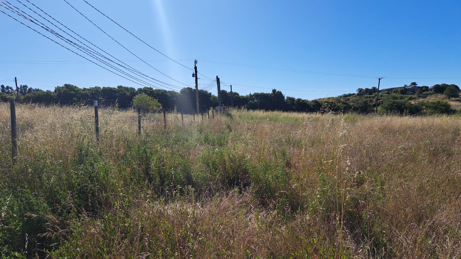 Imagen n°2 de la propiedad PARCELA EN VENTA - EL CONVENTO
