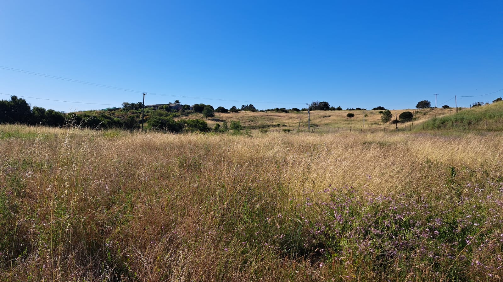 Imagen n°3 de la propiedad PARCELA EN VENTA - EL CONVENTO