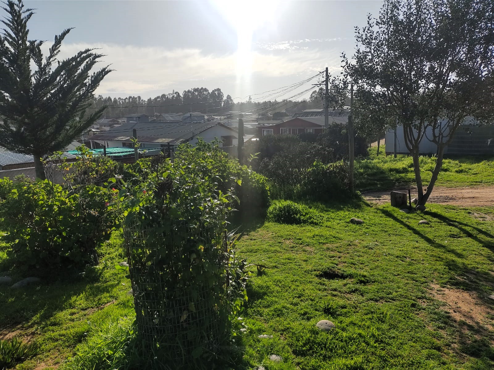 Imagen n°1 de la propiedad TERRENO CON CASA