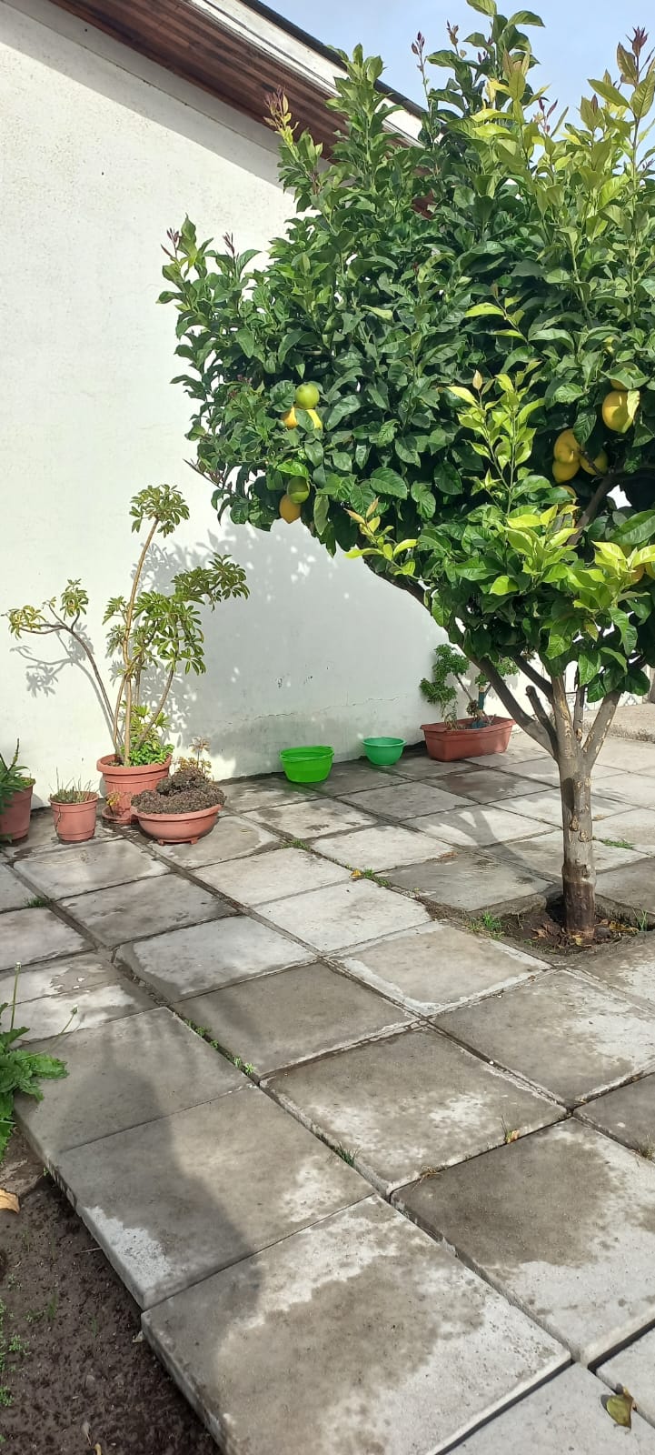 Imagen n°1 de la propiedad Casa en venta