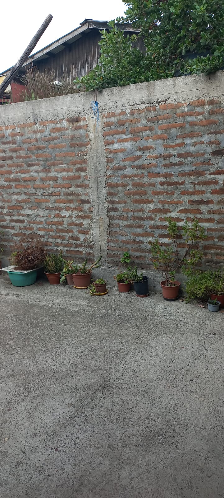 Imagen n°6 de la propiedad Casa en venta