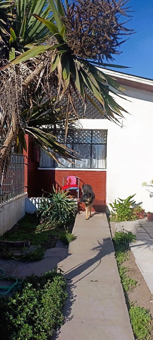 Imagen n°0 de la propiedad Casa en venta