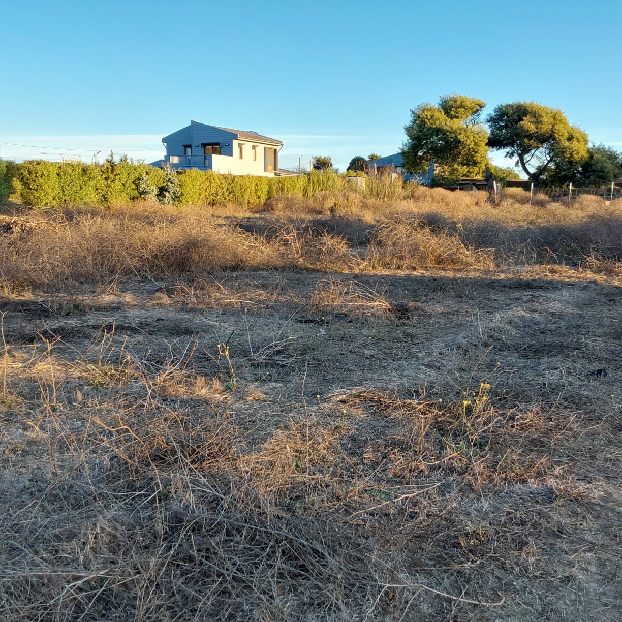 Imagen n°2 de la propiedad TERRENO