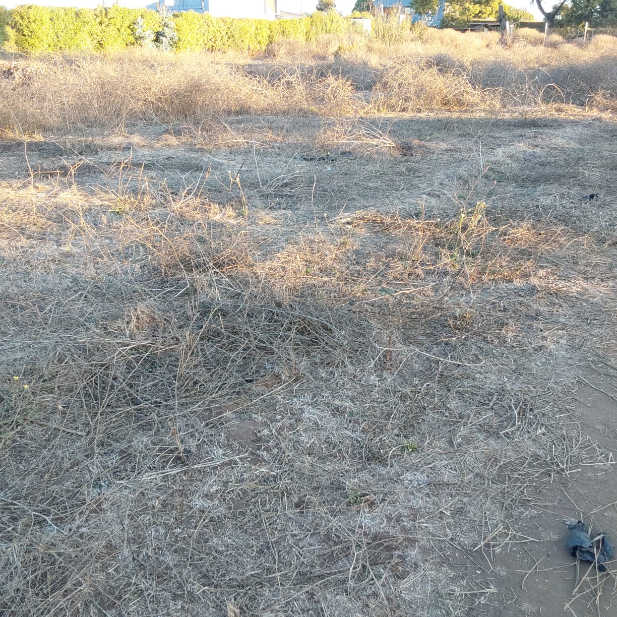 Imagen n°3 de la propiedad TERRENO