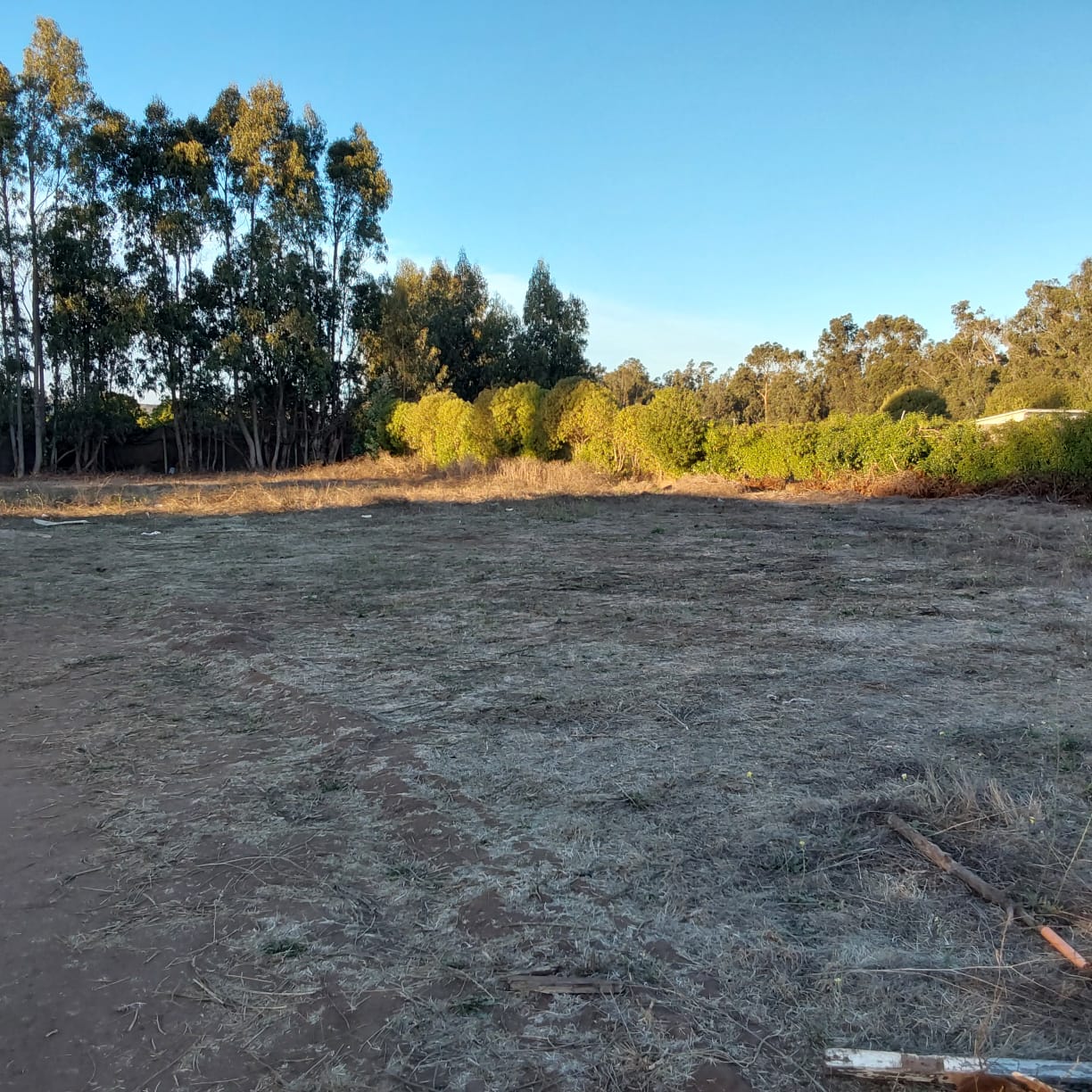 Imagen n°4 de la propiedad TERRENO