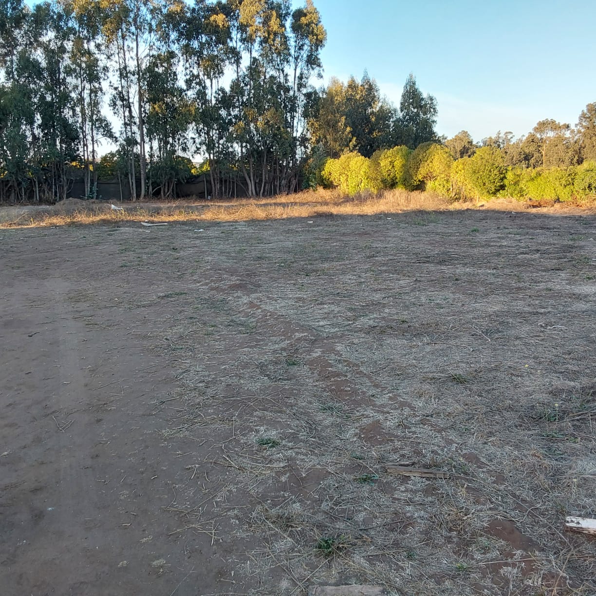 Imagen n°3 de la propiedad TERRENO