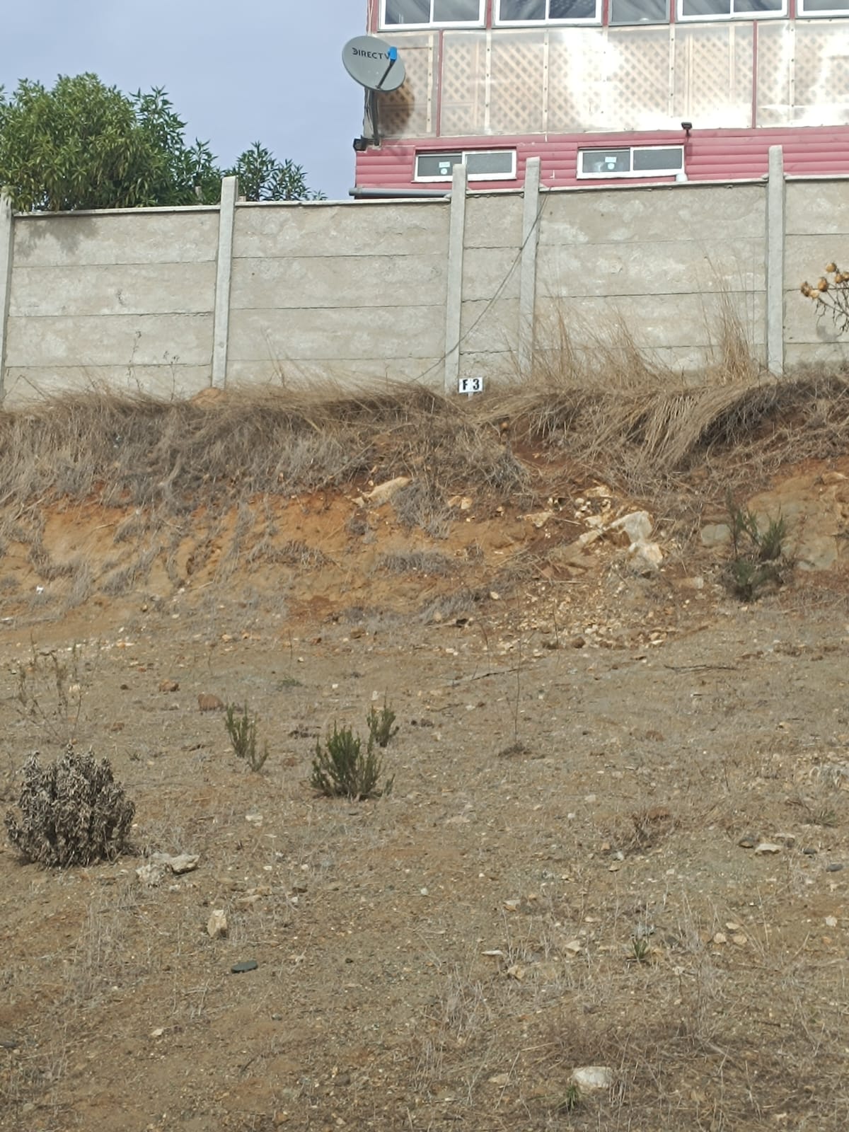 Imagen n°1 de la propiedad TERRENO