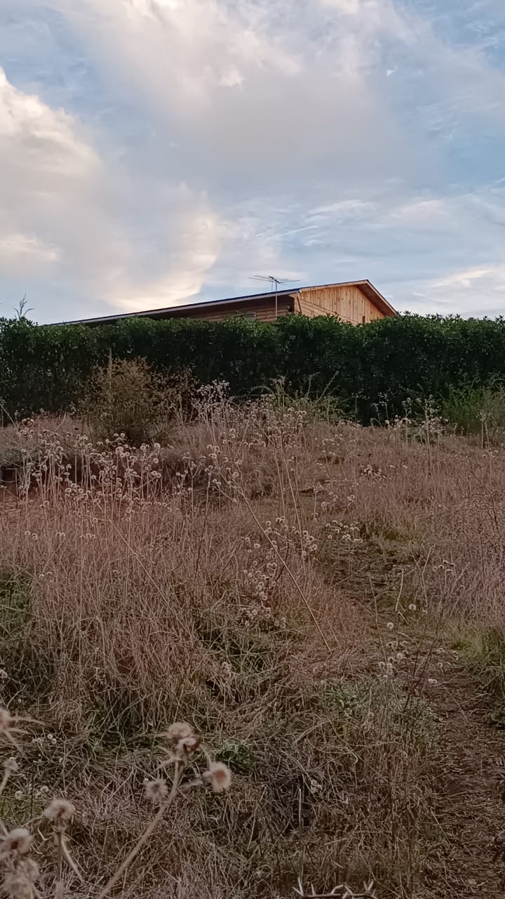 Imagen n°1 de la propiedad PARCELA