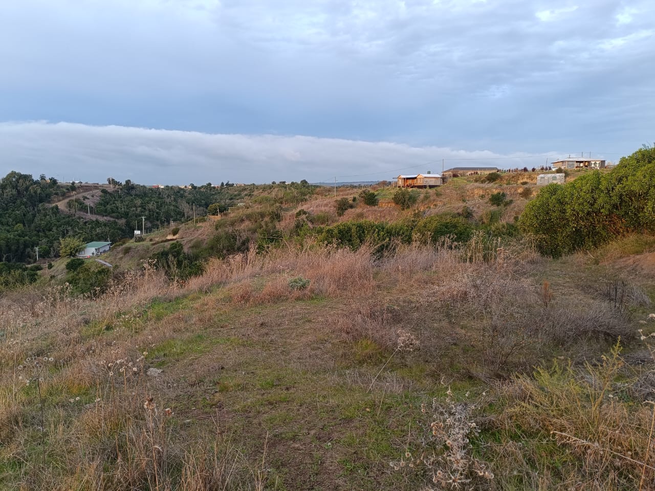 Imagen n°4 de la propiedad PARCELA