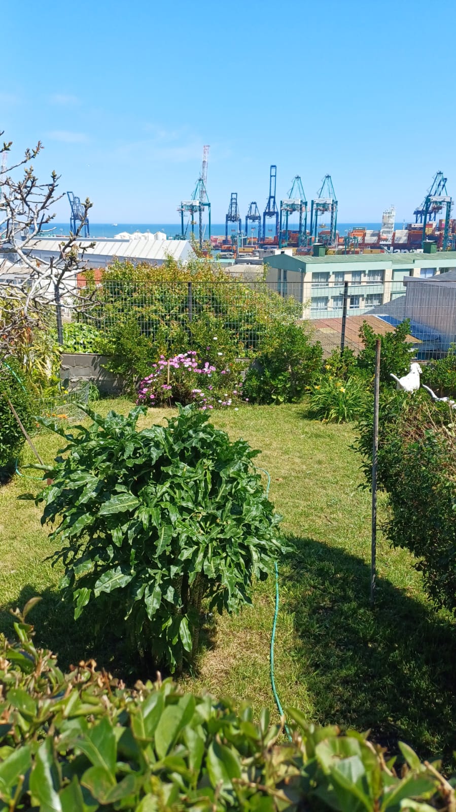 Imagen n°7 de la propiedad CASA EN VENTA