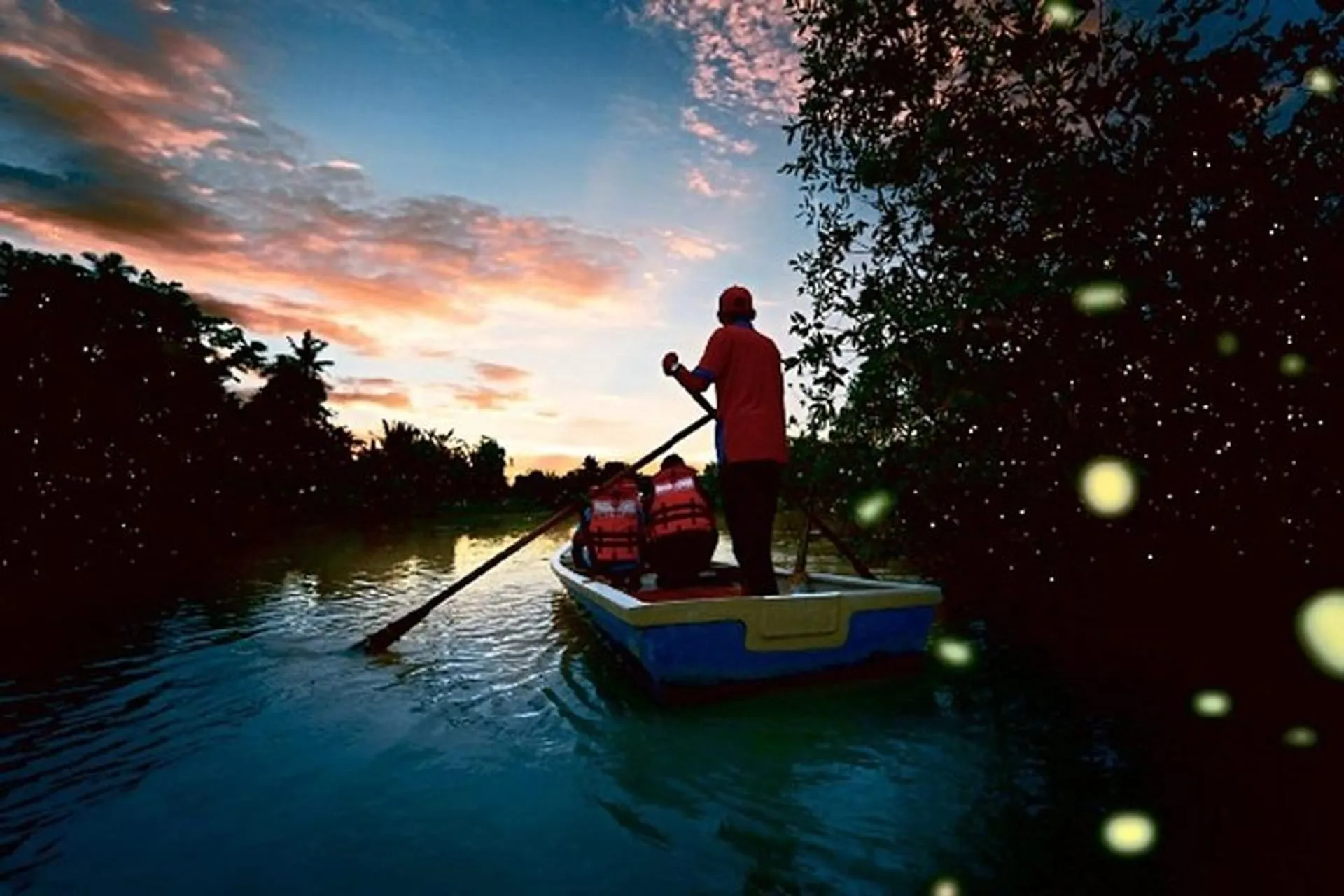 Kuala Selangor / Firefly Tour 1