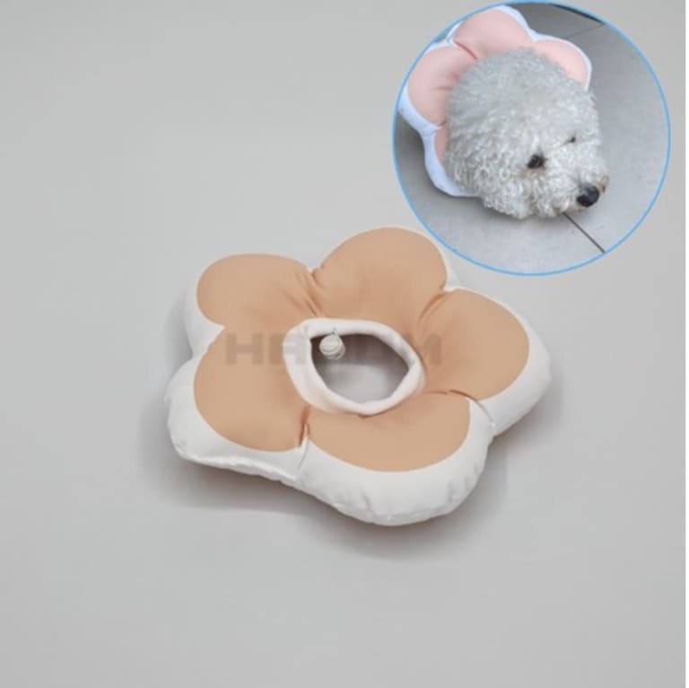 강아지 고양이 넥카라 강아지 깔때기 넥카라