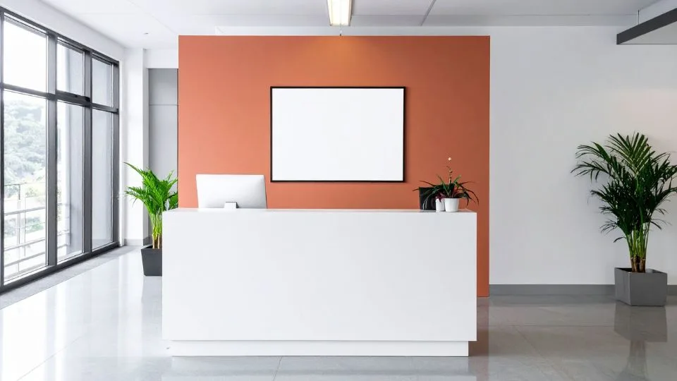 Commercial office repaint in Adelaide with low-odor finish