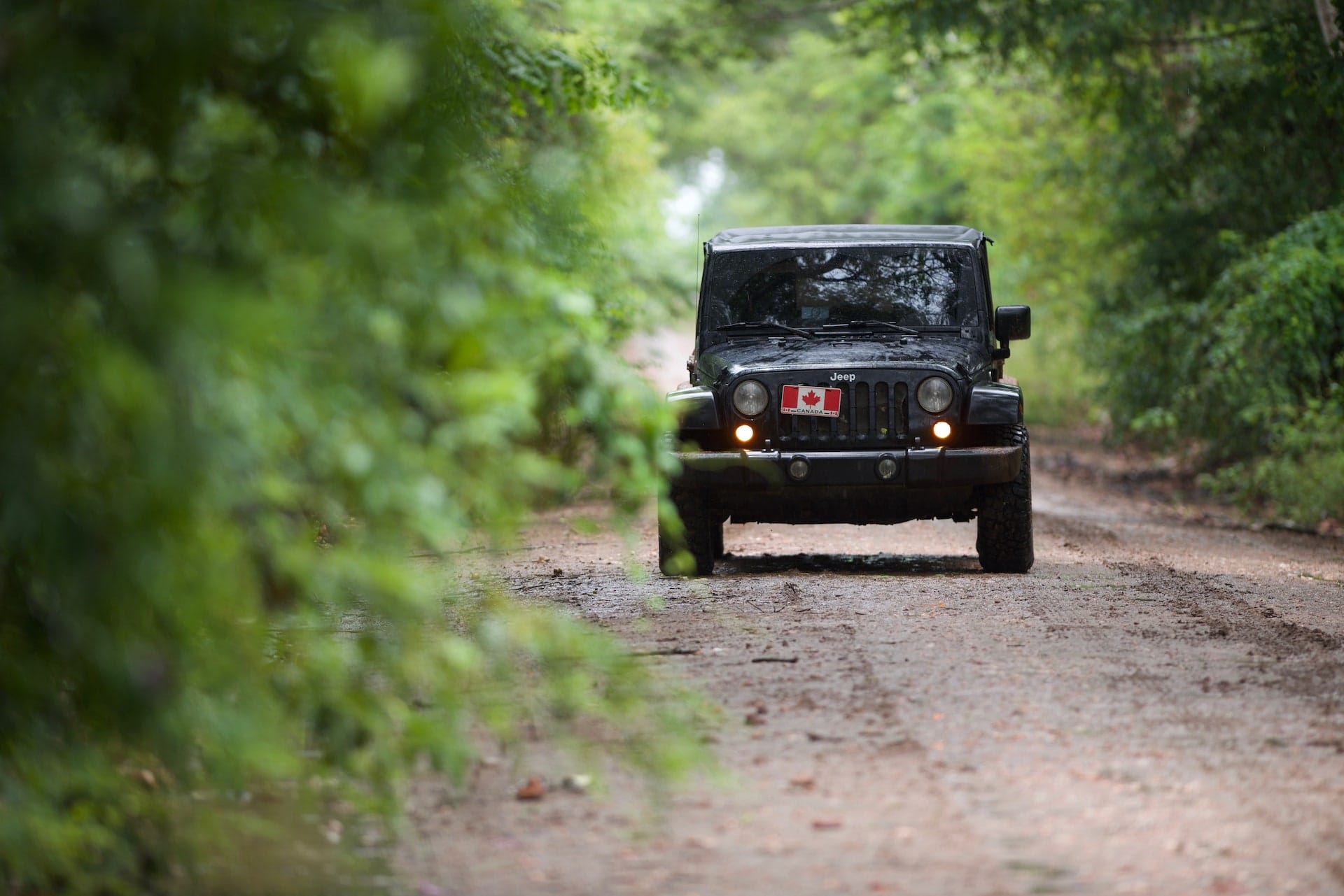 Jeep Wrangler in the Pantanal, Brazil