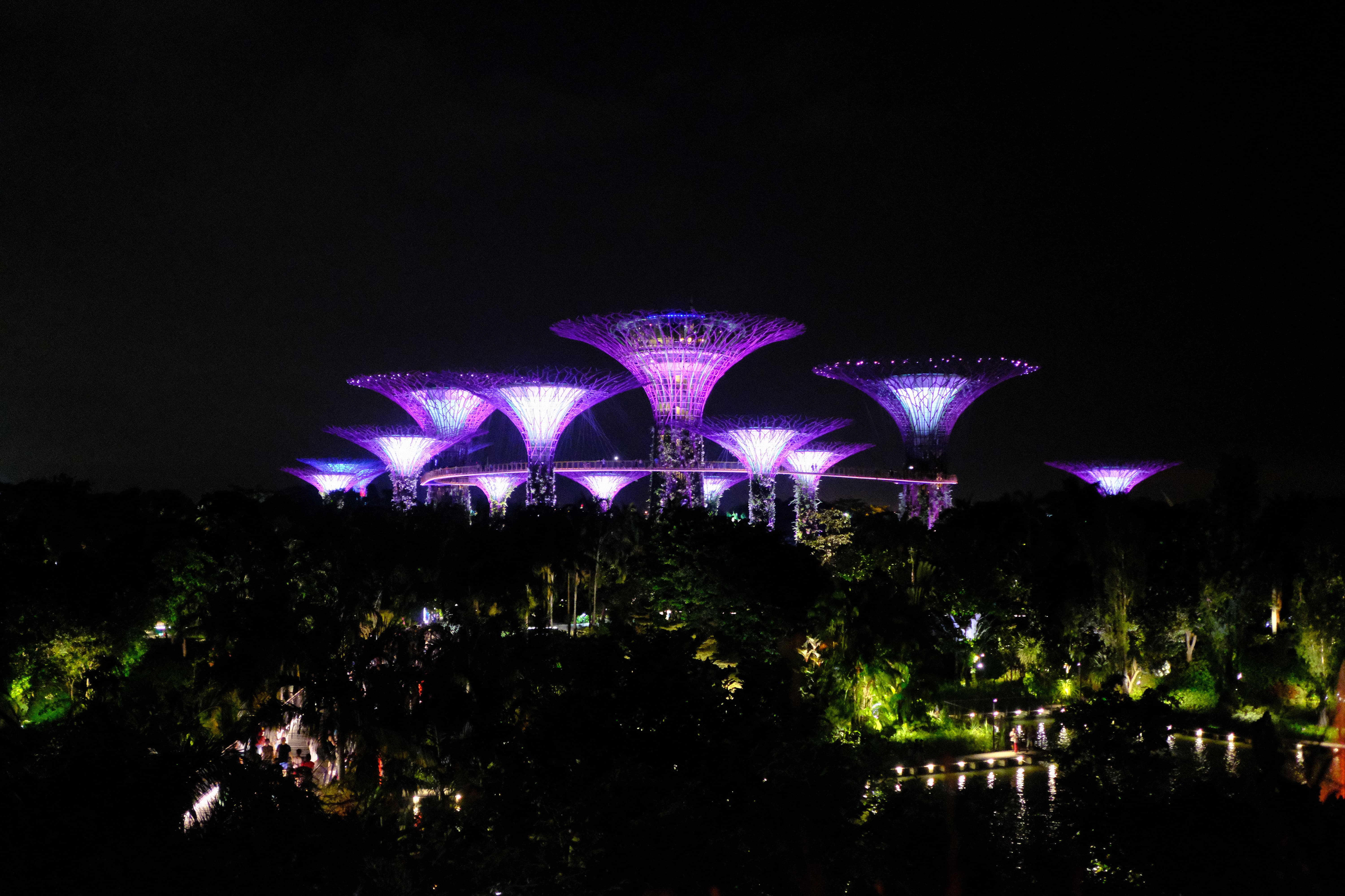 Garden by the bay