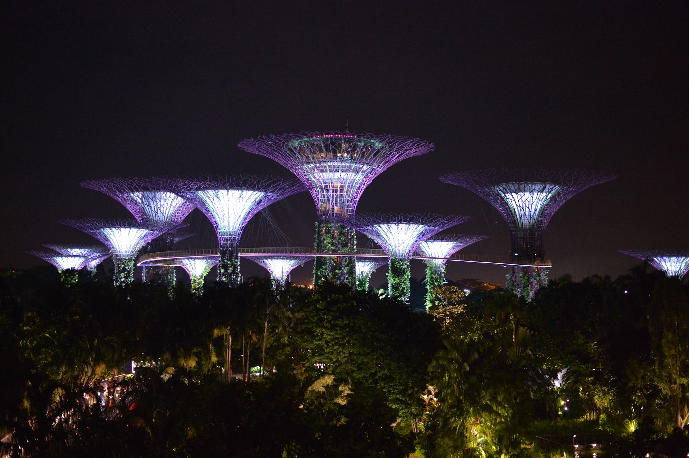 Df Nikon Singapore