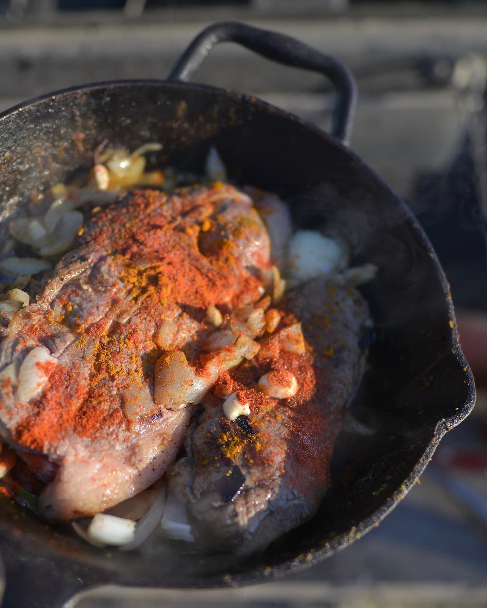 Solostove car camping