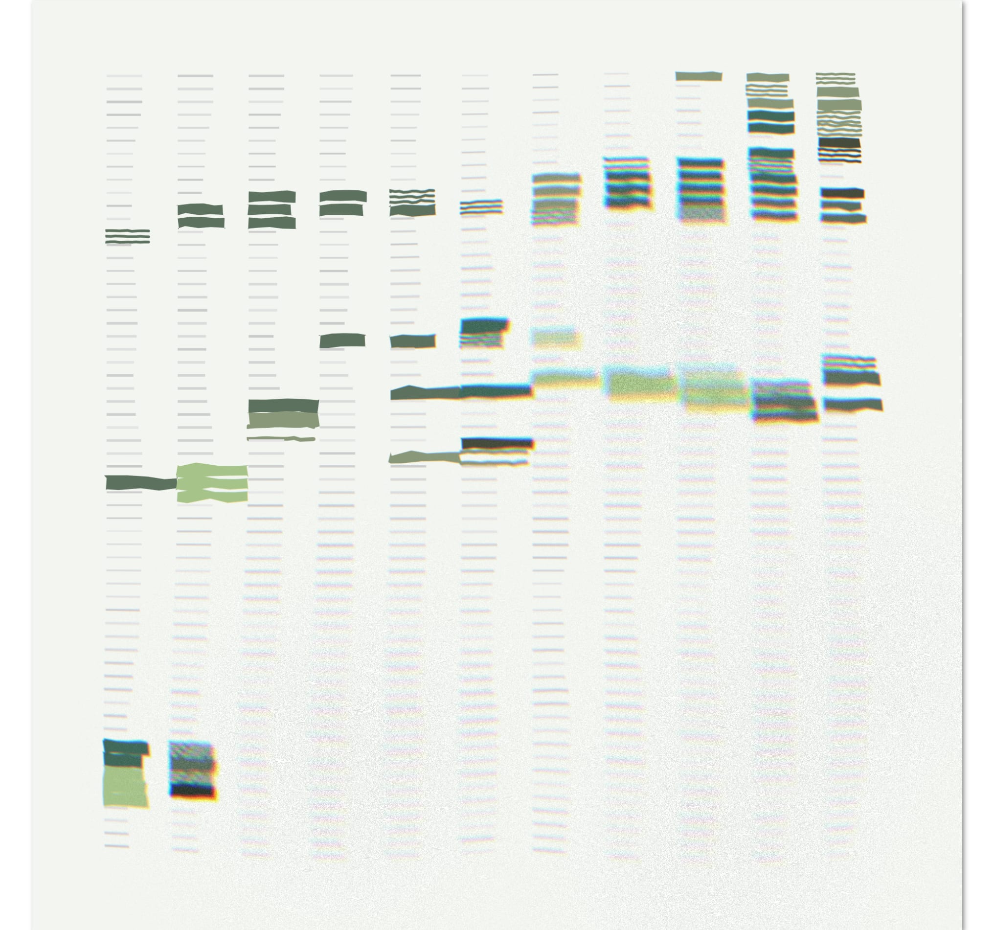 Blockfeel_001_34fffa.png