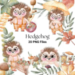 Hedgehog Woodland Watercolor Clipart Bundle Autumn Forest Animal PNG (Digital Download) - Image 1