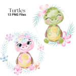 Turtle Watercolor Clipart Bundle Baby Sea Animal PNG (Digital Download) - Image 3