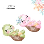 Turtle Watercolor Clipart Bundle Baby Sea Animal PNG (Digital Download) - Image 4