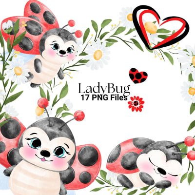 Ladybug Watercolor Clipart Daisy Flower PNG Bundle (Digital Download)