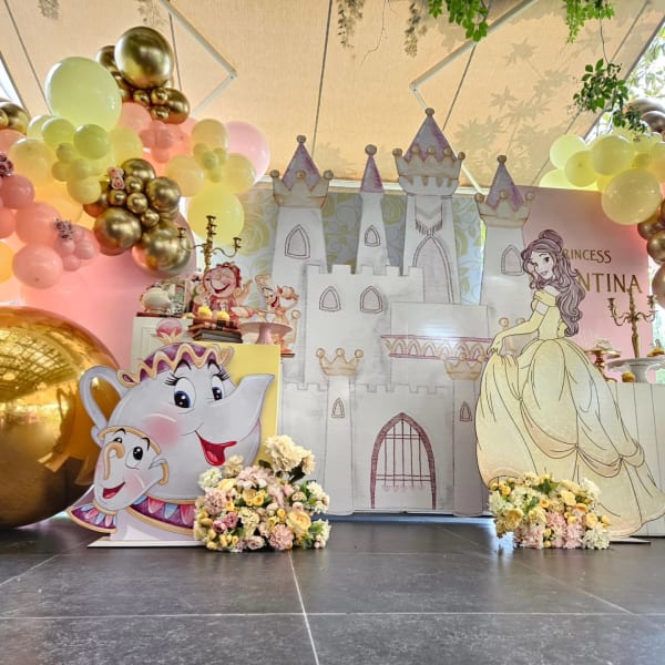 Belle princess party